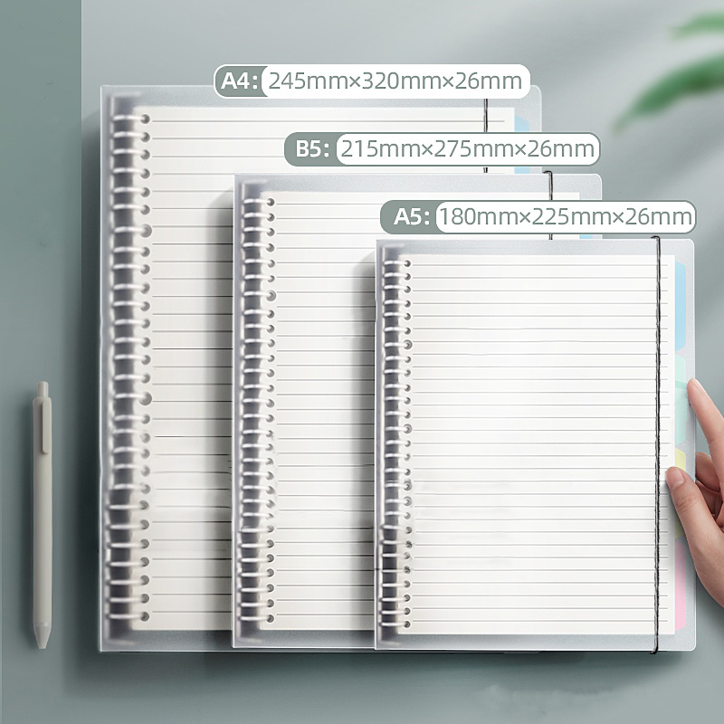 A5/B5/A4 Binder Notebooks Loos - Graph Paper Pad review and price